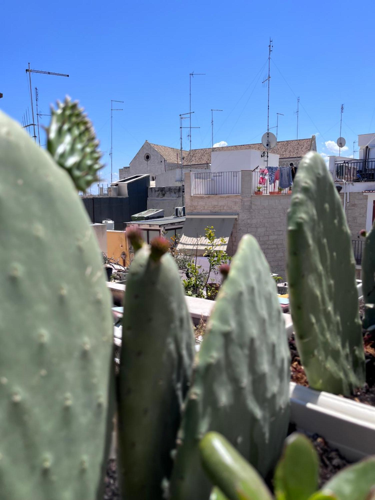 Casa Franca - Terracielo A Bari Vecchia Villa Eksteriør bilde