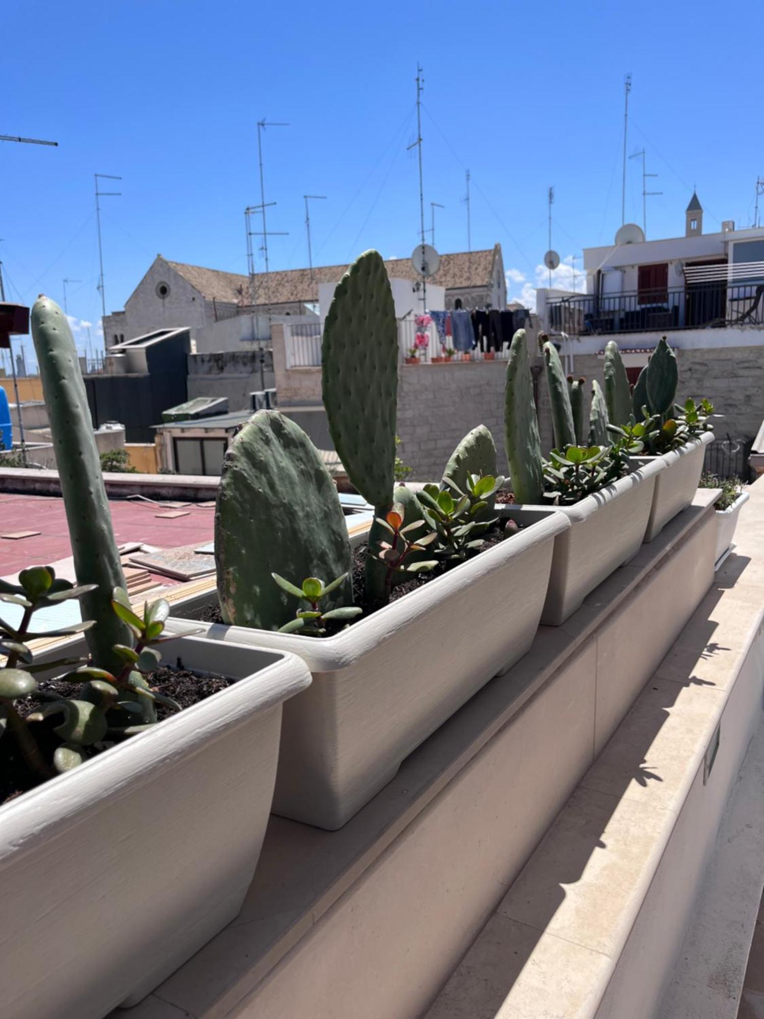 Casa Franca - Terracielo A Bari Vecchia Villa Eksteriør bilde